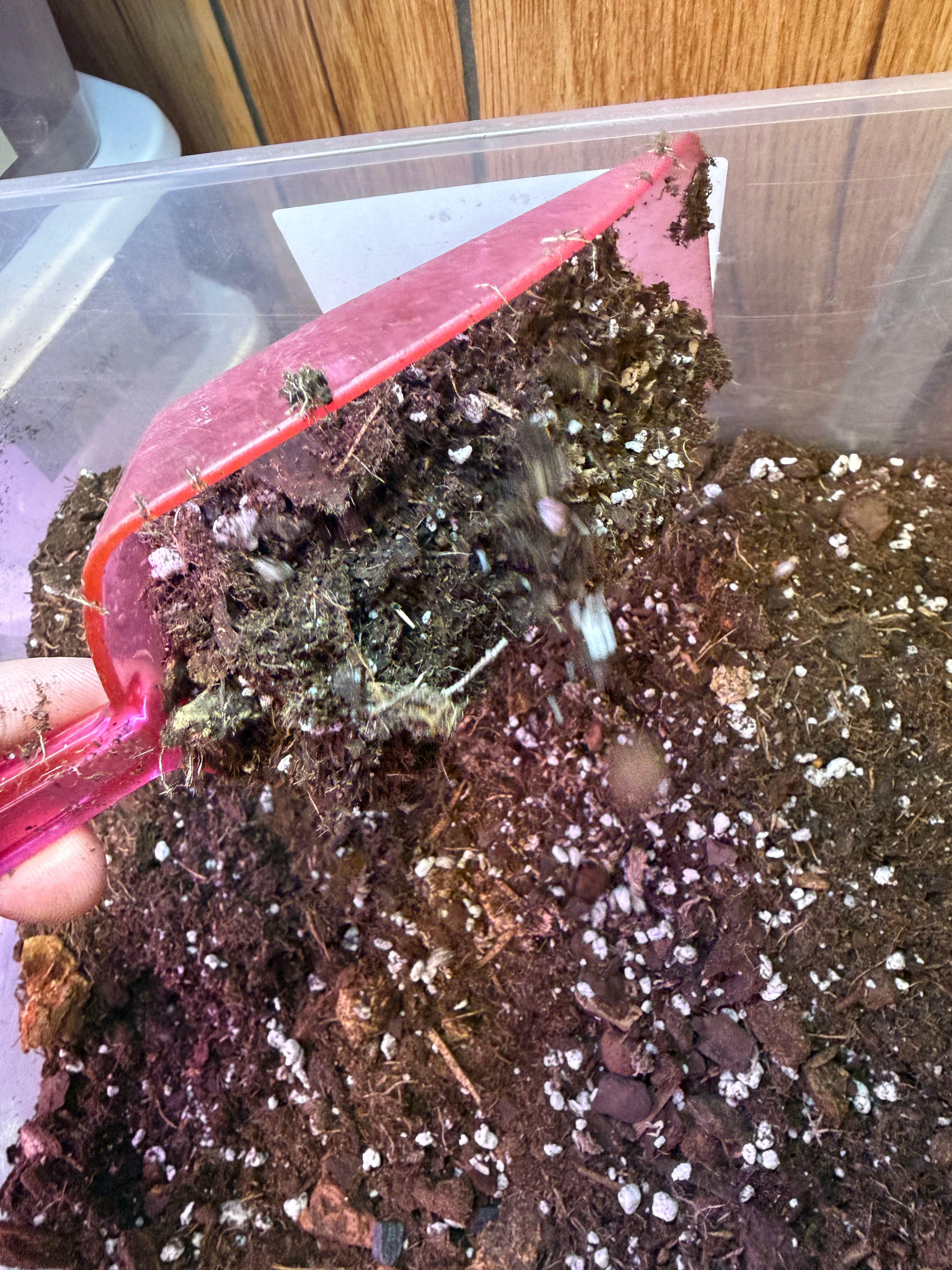Jessesleaf soil mix