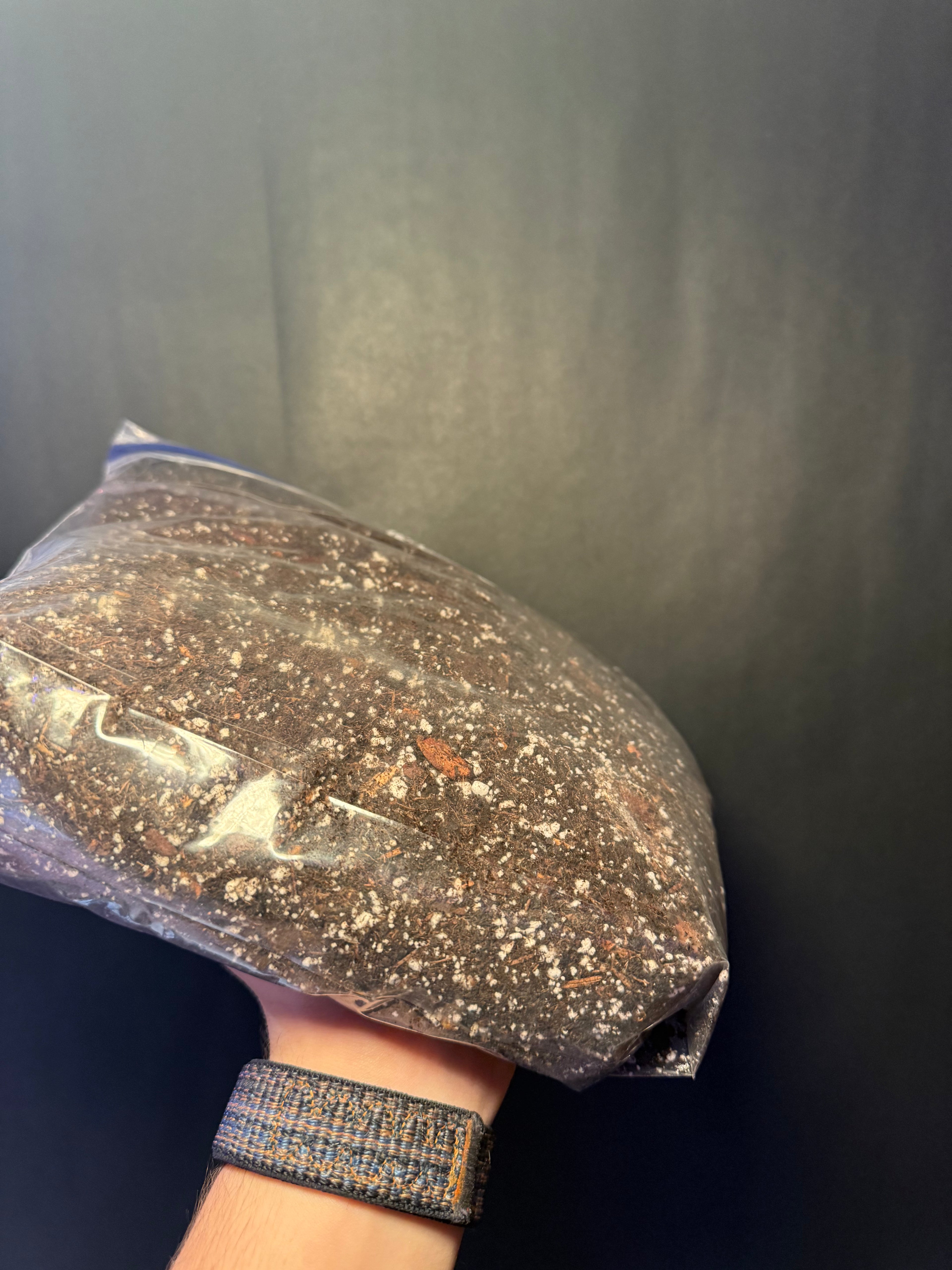 Jessesleaf custom aroid mix