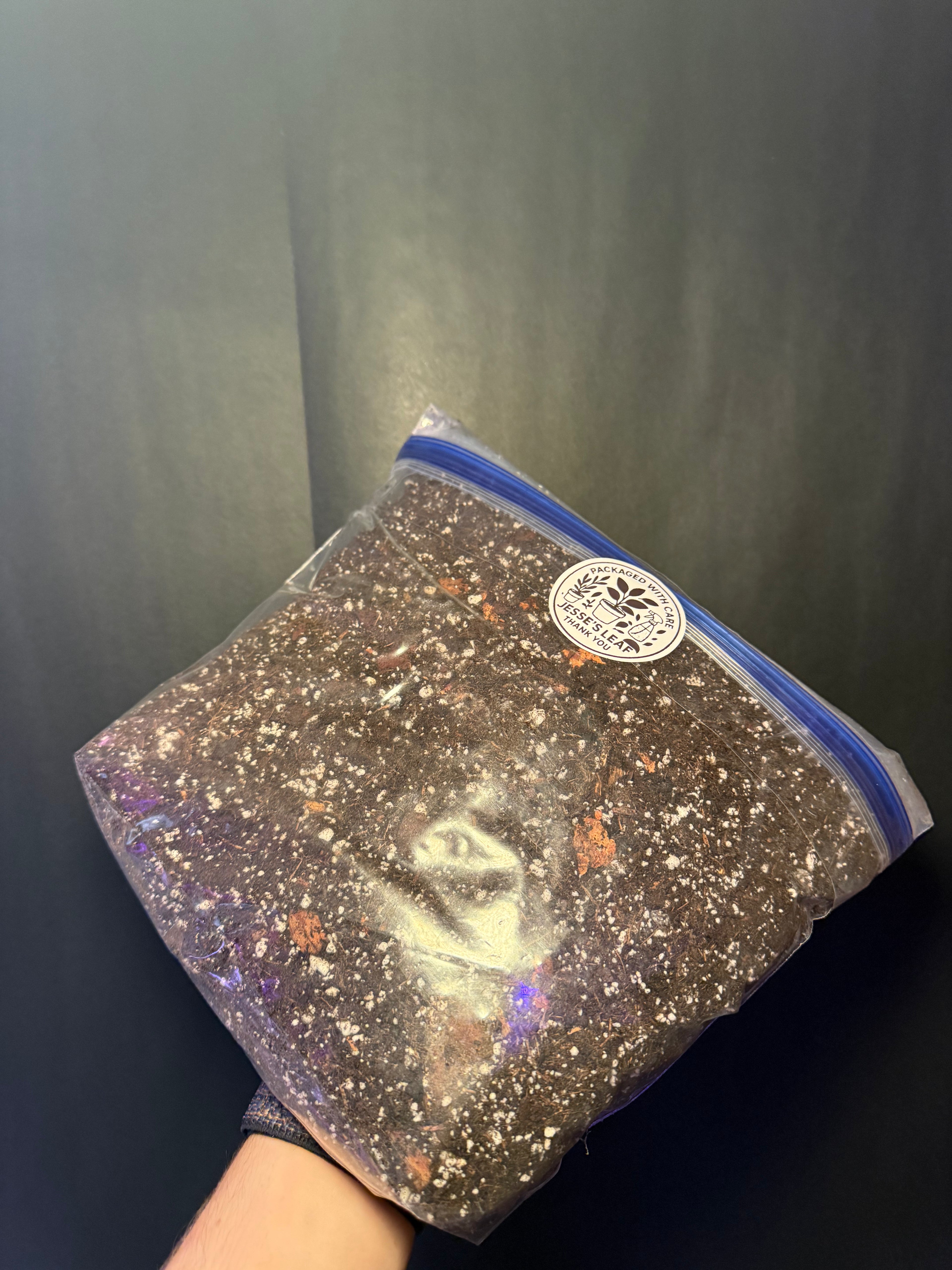 Jessesleaf custom aroid mix